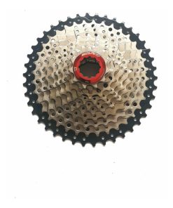 Piñón 10 Velocidades Marca Bolany 11-42